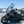Load image into Gallery viewer, Blemish Cobra