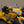Load image into Gallery viewer, Taka GL1500 - Gold Series Acrylic