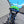 Load image into Gallery viewer, Blemish Stingray - Color Line