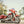 Load image into Gallery viewer, Mega Curve - Elite Series Polycarbonate