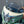 Load image into Gallery viewer, Tomahawk Elite Polycarbonate Windshield
