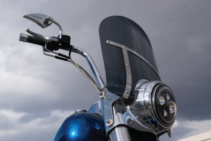 Blemish Road King (Elite Series Polycarbonate)