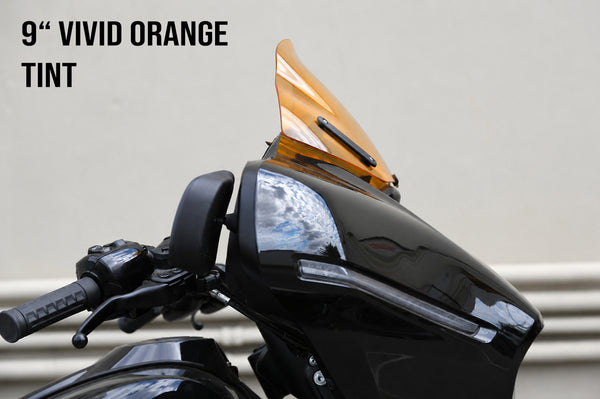 RYDE™ 2024+ for Street Glide Color Line (Acrylic)