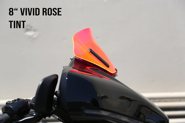 RYDE™ 2024+ for Street Glide Color Line (Acrylic)