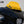 Load image into Gallery viewer, RYDE™ 2024+ for Street Glide Color Line (Acrylic)
